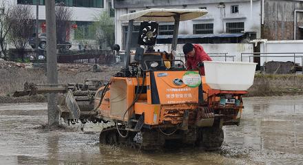 农村青年赚钱,农村青年创业模式