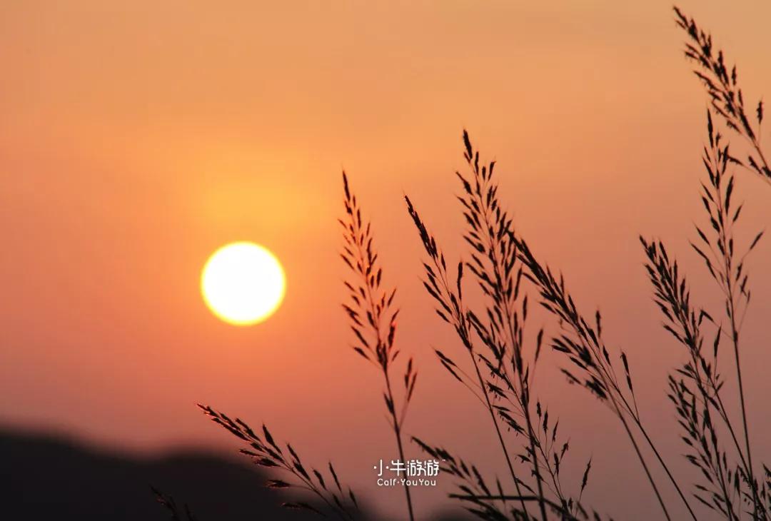 小牛游记2019,小牛骑行之旅