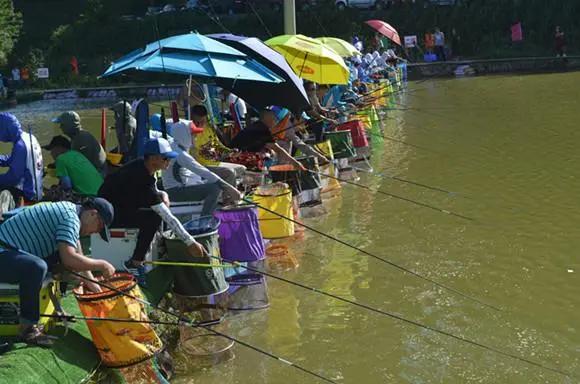 竹舍乌鱼庄：一条鱼搅活的乡村特色游