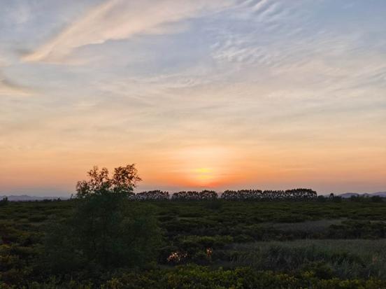 生蚝之乡广东阳江,生蚝之乡鲜蚝