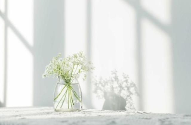 怎么系统的学习摄影与剪辑,如何系统学习摄影软件