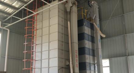 农村青年赚钱,农村青年创业模式