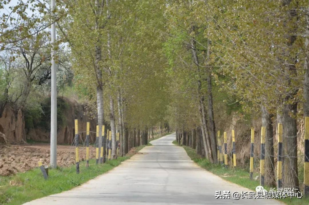 香椿炒鸡蛋的营养价值,冻过的香椿怎样炒鸡蛋