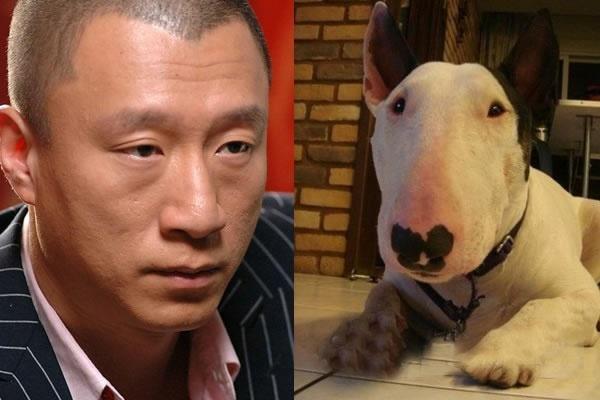 黄渤与孙红雷与动物撞脸瞬间,盘点明星撞脸黄渤