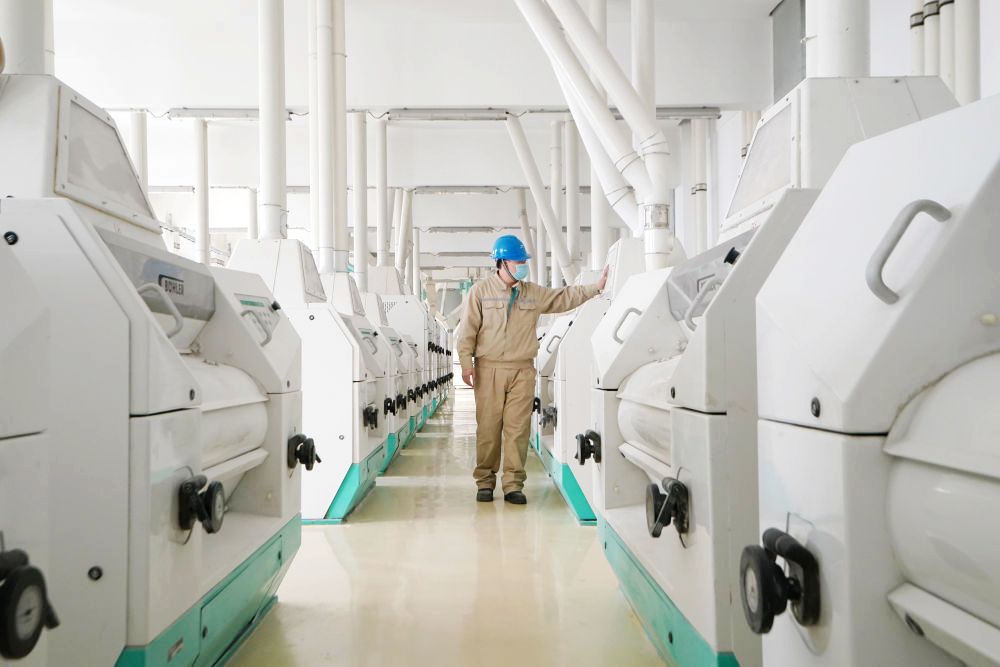 龙江疫情,龙江防疫