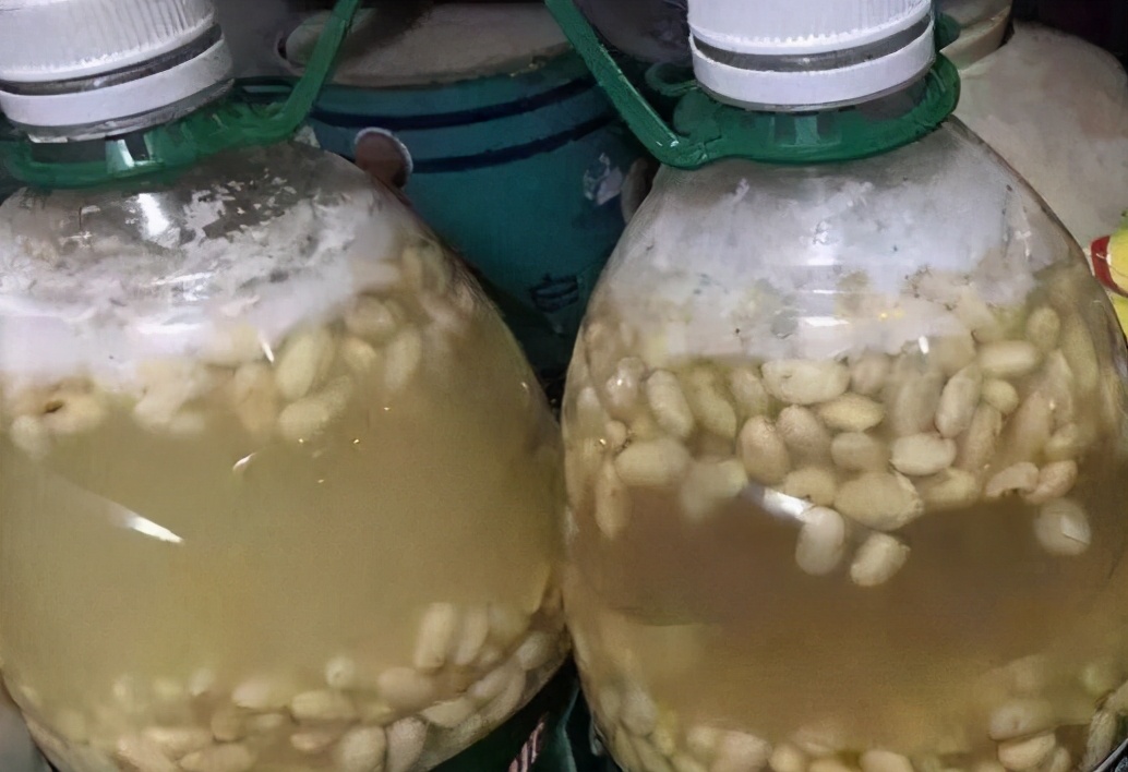 北方冬天如何制作黄豆肥水养花,黄豆水养花的方法和注意事项