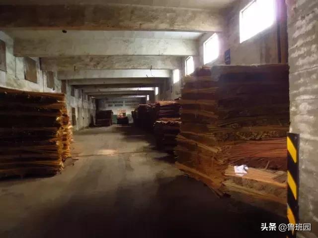 竹子怎么变异成龟甲竹,看竹子挖笋技巧