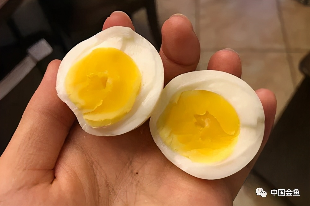 金鱼幼苗喂养正确方法,金鱼秋季繁殖小苗如何饲养