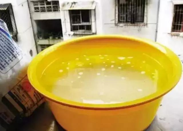 除蚊子的小妙招有哪些呢,每家每户备上一个蚊子克星