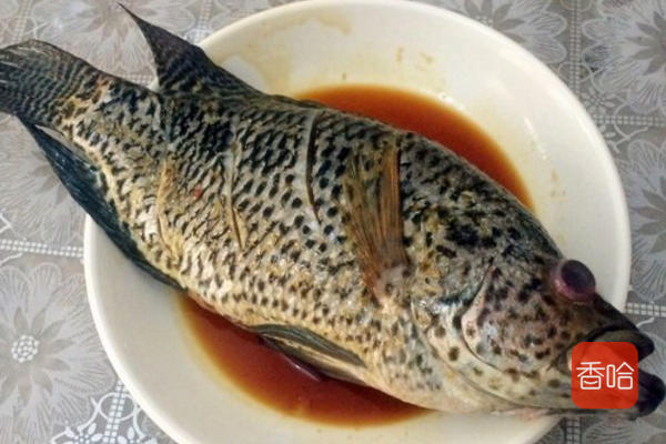 简单又好吃的炖鱼做法,最简单家庭炖鱼做法微辣