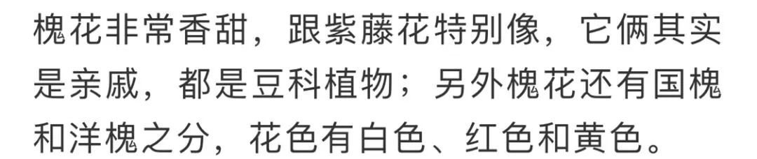 看到花的时候，不知是什么花？那就收下这份百花图谱