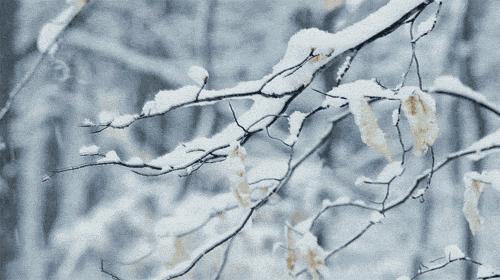 此生必去看一次雾凇太美了,此生必去看一次雾凇简直要美哭了