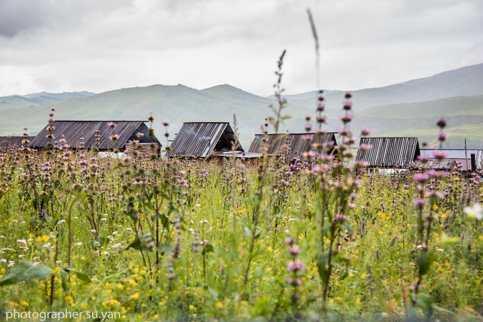 新疆疆内旅行攻略学生,川进疆出自驾游攻略