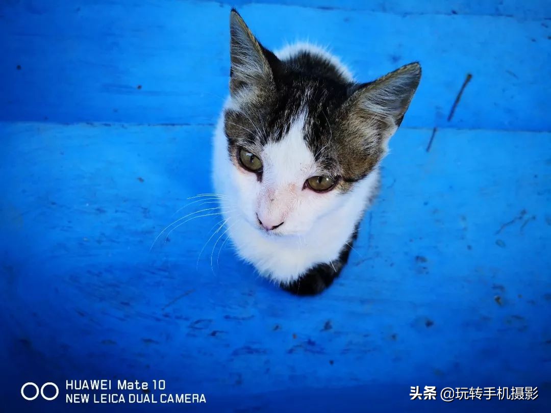 华为mate30epro拍照技巧,华为手机mate30拍照技巧图解教程