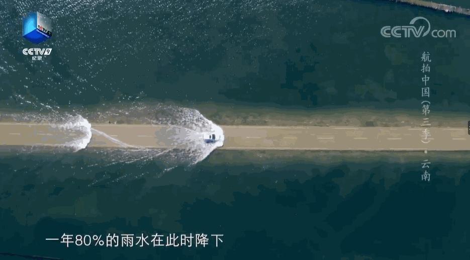 带你Get《司藤》同款神仙美景,春天的香格里拉这样玩