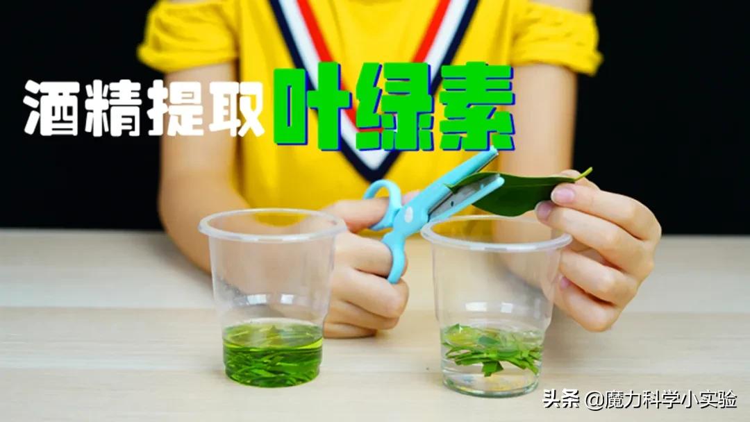 魔力科学小实验静电,魔力科学小实验变色的水
