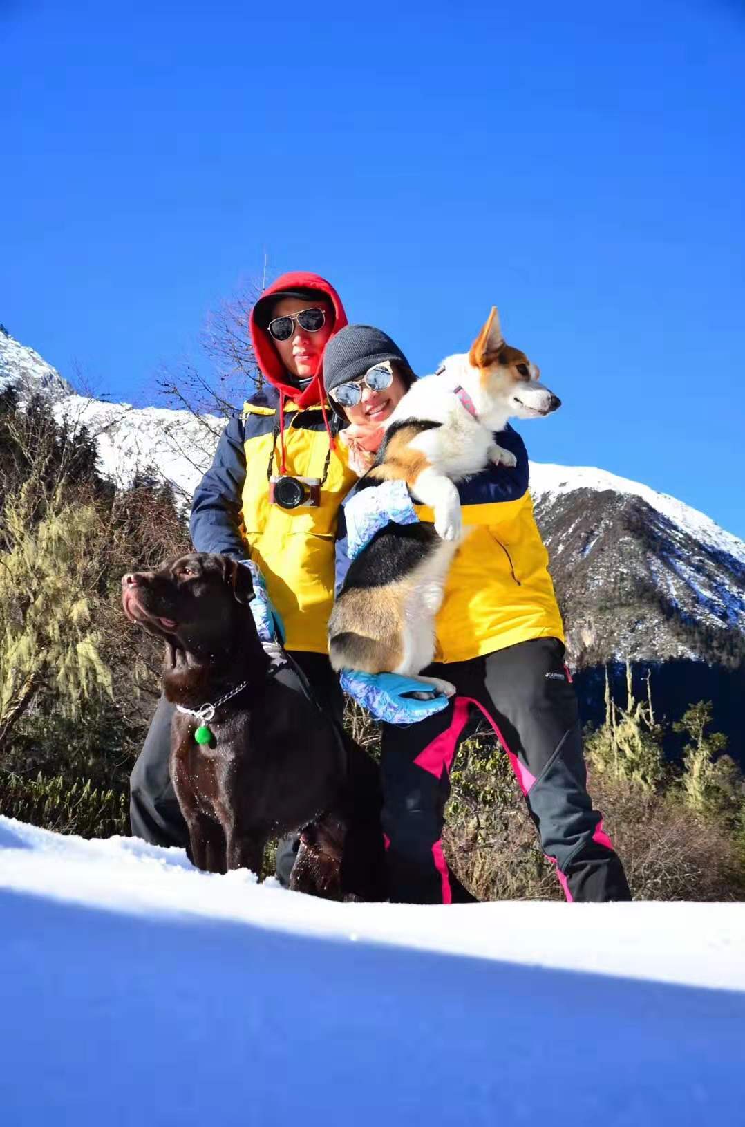 带宠物去旅游好玩吗,带着宠物去旅行游乐设施
