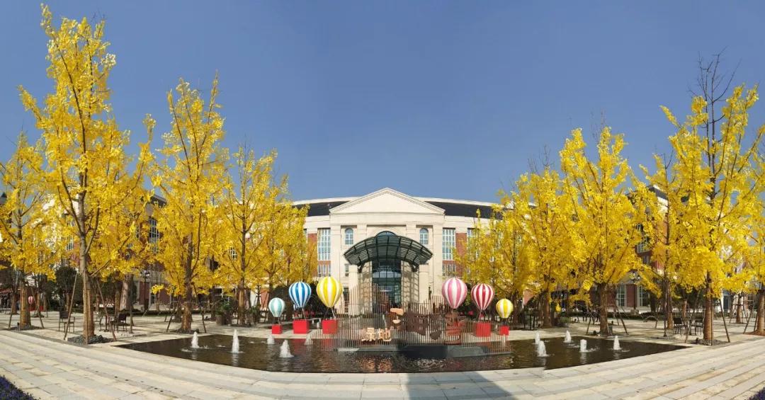 杭州湾落户多少家世界500强,中国500强杭州湾有几家