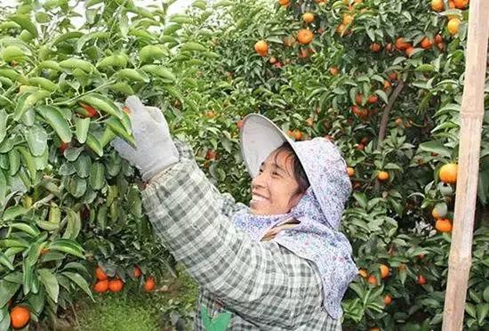 广东四会翡翠玉石源头,四会玉器之乡在哪里