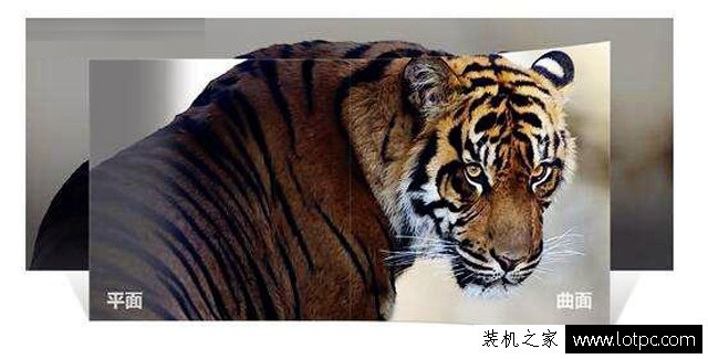 曲面和平面显示器的对比图,曲面和平面显示器哪个好做设计