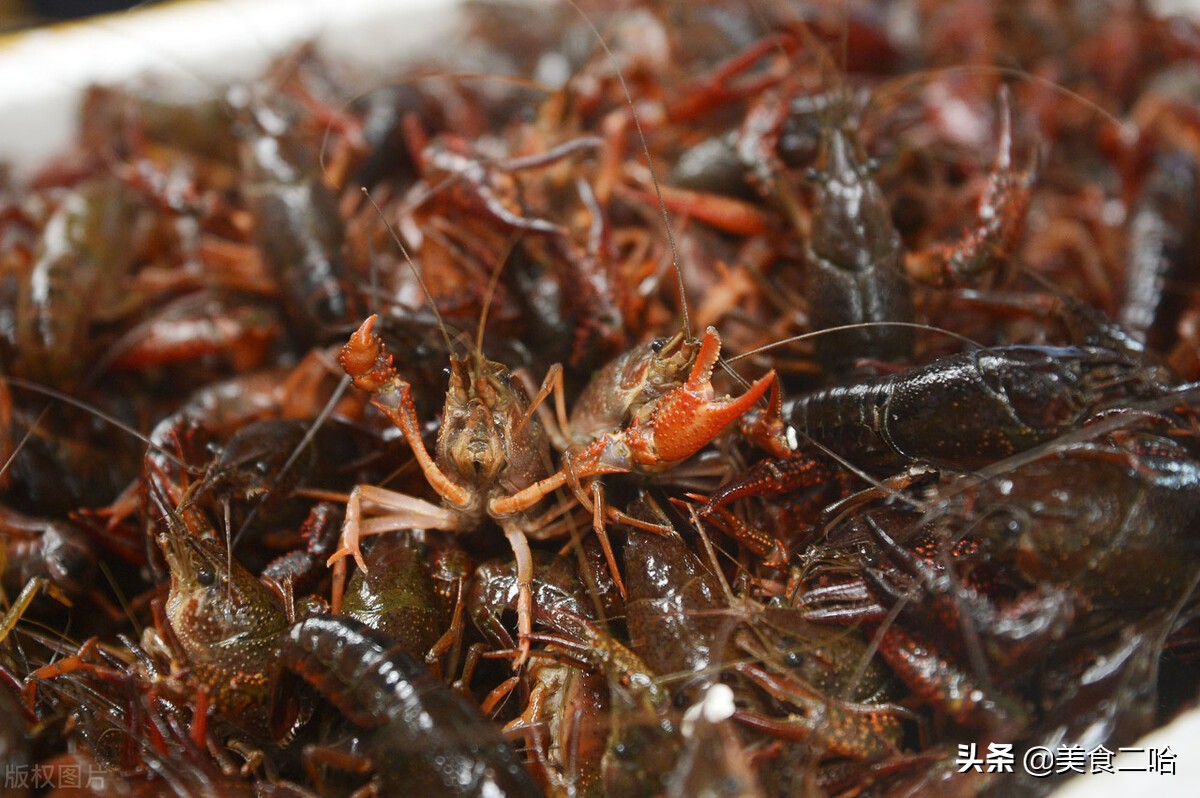 清洗小龙虾你用对方式了吗？饭店老厨师教你3招，再脏也能洗干净