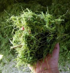 干草储存方法,干草储存湿度要求