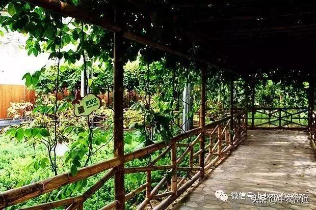 忻州保德好玩嘛,山西保德去哪玩