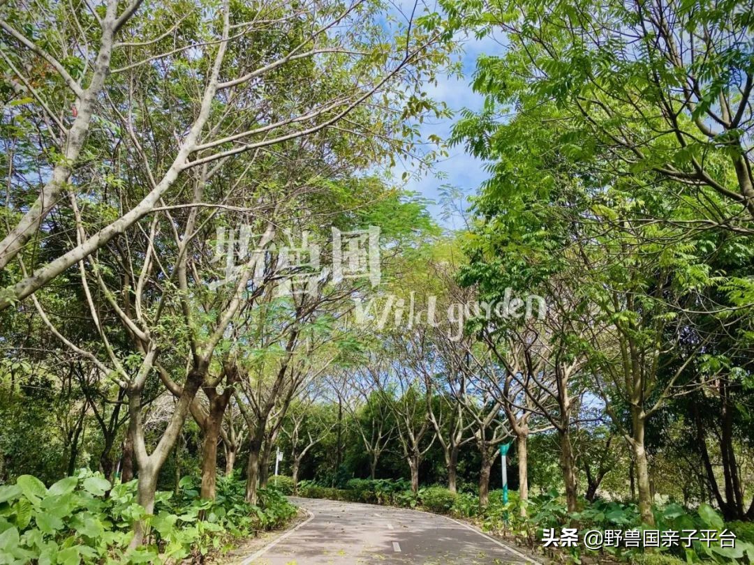 松山湖风景区松湖烟雨是哪个门,松山湖景区松湖烟雨有哪些好玩的