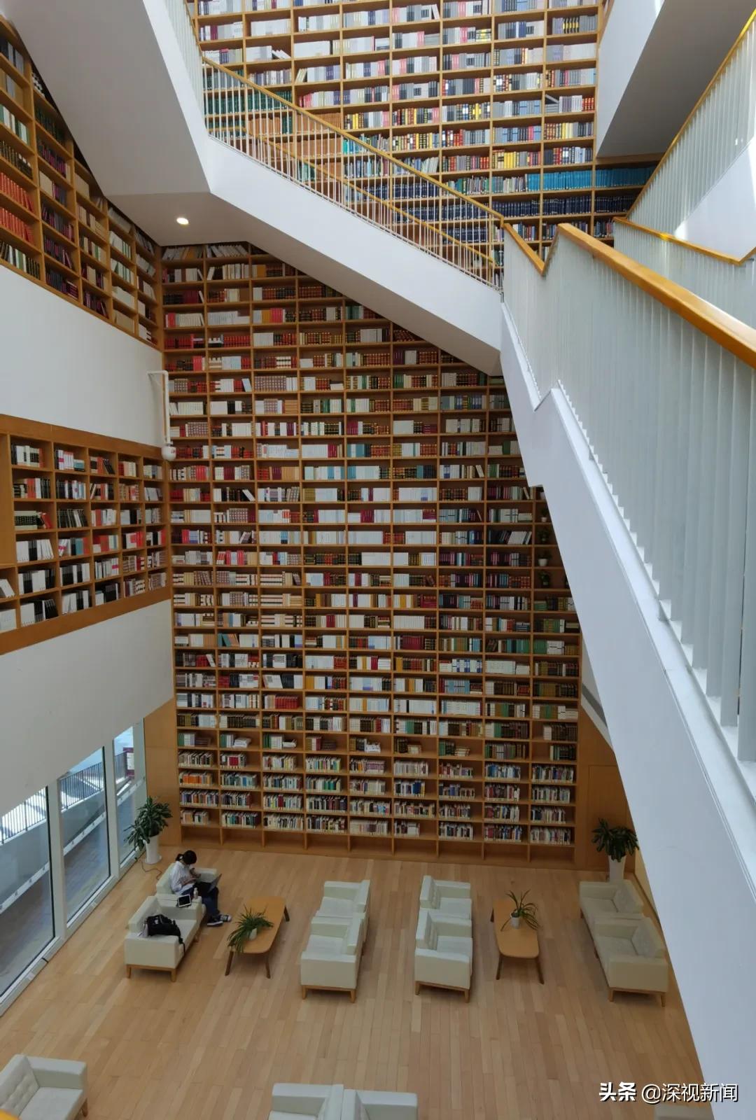 读书:一座城的涵养,一群人的不屈|锐视角