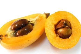 枇杷的食疗,枇杷怎么吃润肺化痰