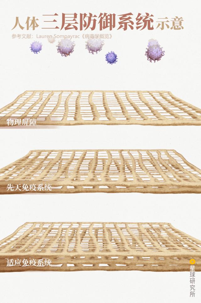 感染病毒后的168小时,你的体内都发生了什么?