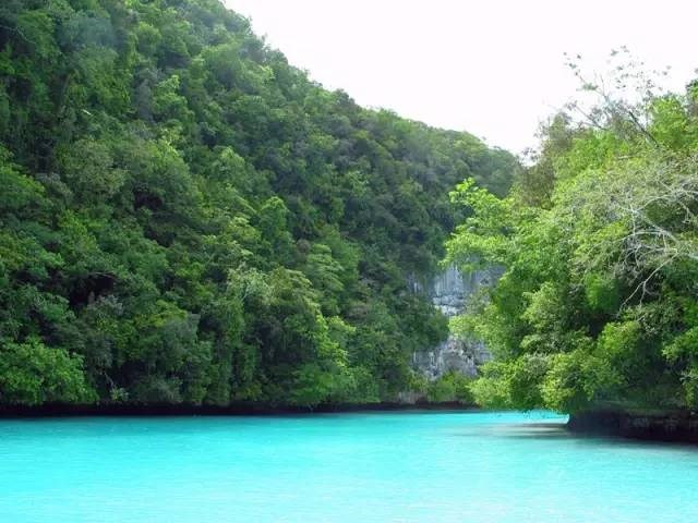 比马尔代夫更高级的岛屿,太平洋海岛帕劳旅游攻略