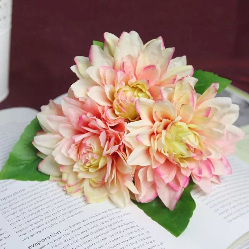 50种鲜切花花语,每个花艺师都要知道