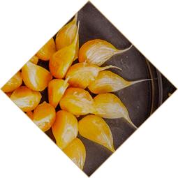 舌尖上的中国东来顺火锅,舌尖美食东来顺火锅