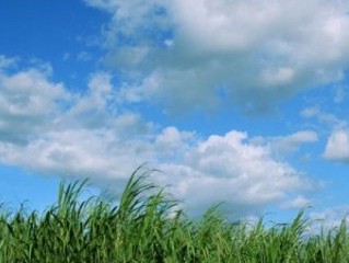 不甘寂寞的哥,闲不住的阿娟