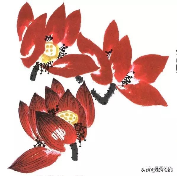 荷花的画法和步骤图解,最简单的荷花画法一学就会
