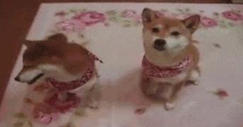 “如果这群女混混*攻围**我,我会舌战群儒!”你会怎样脱困?