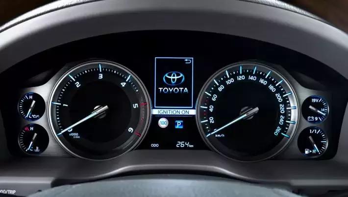 你一个月的工资养得起吗,你一个月的工资能买得起什么