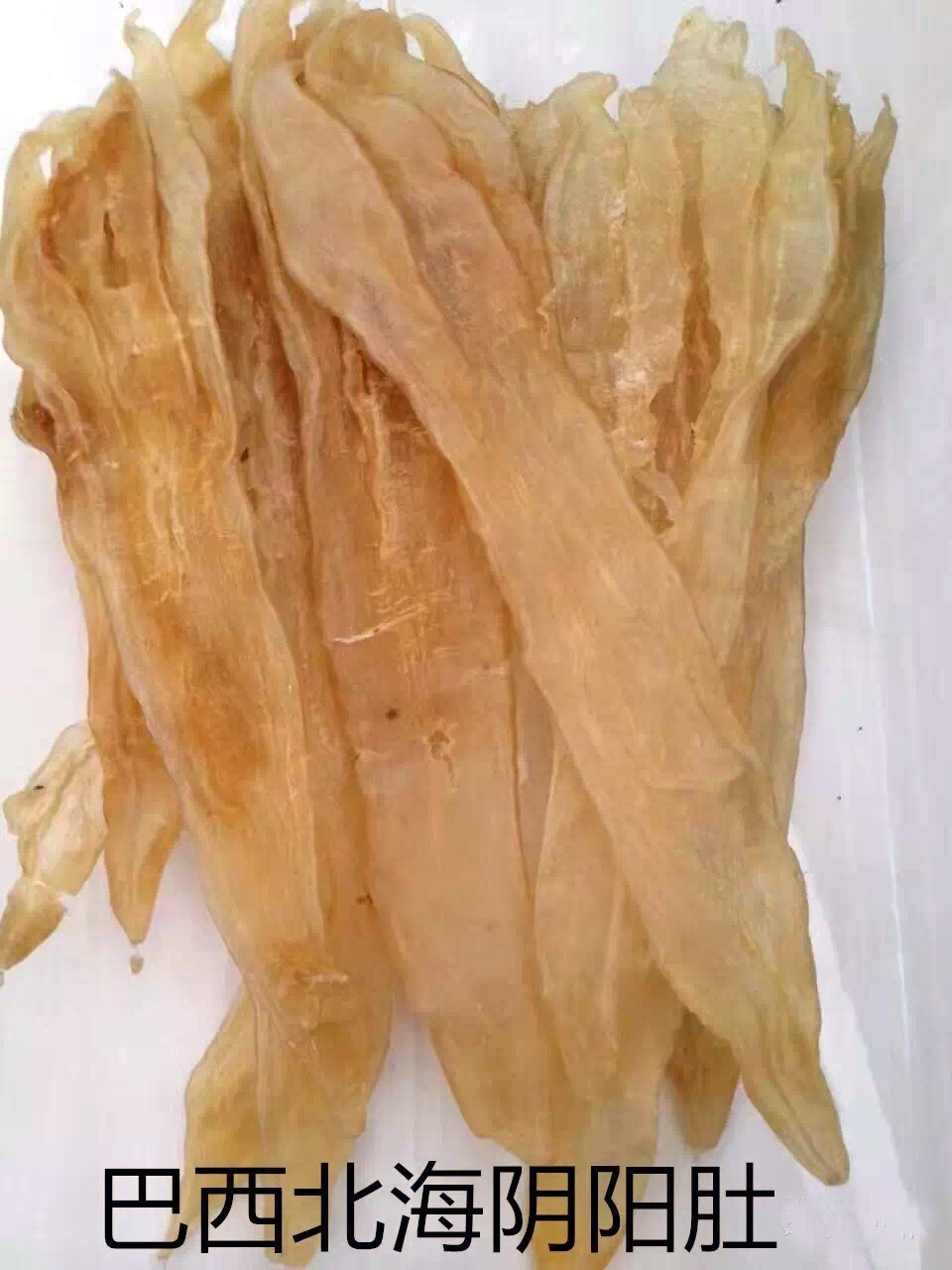 花胶不就是鱼泡吗为什么那么贵,花胶比较贵吃法正确才不至于浪费