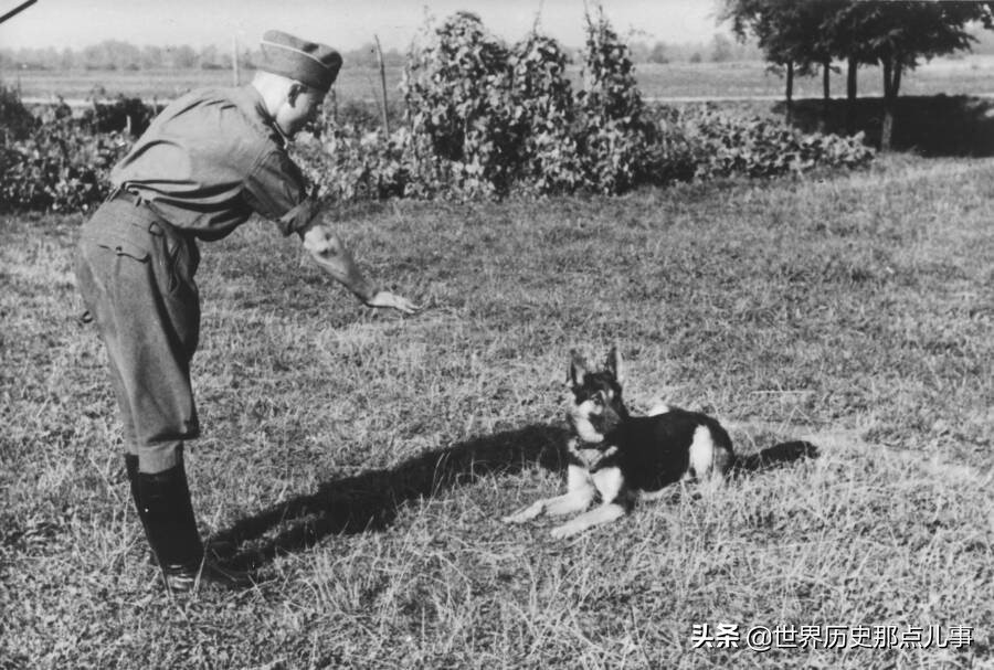 纳粹军官真实照片,纳粹军官的真实照片