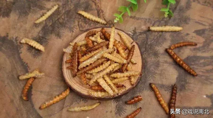 地道美食酥炸竹虫推荐,北方无法接受南方七大美食排行榜