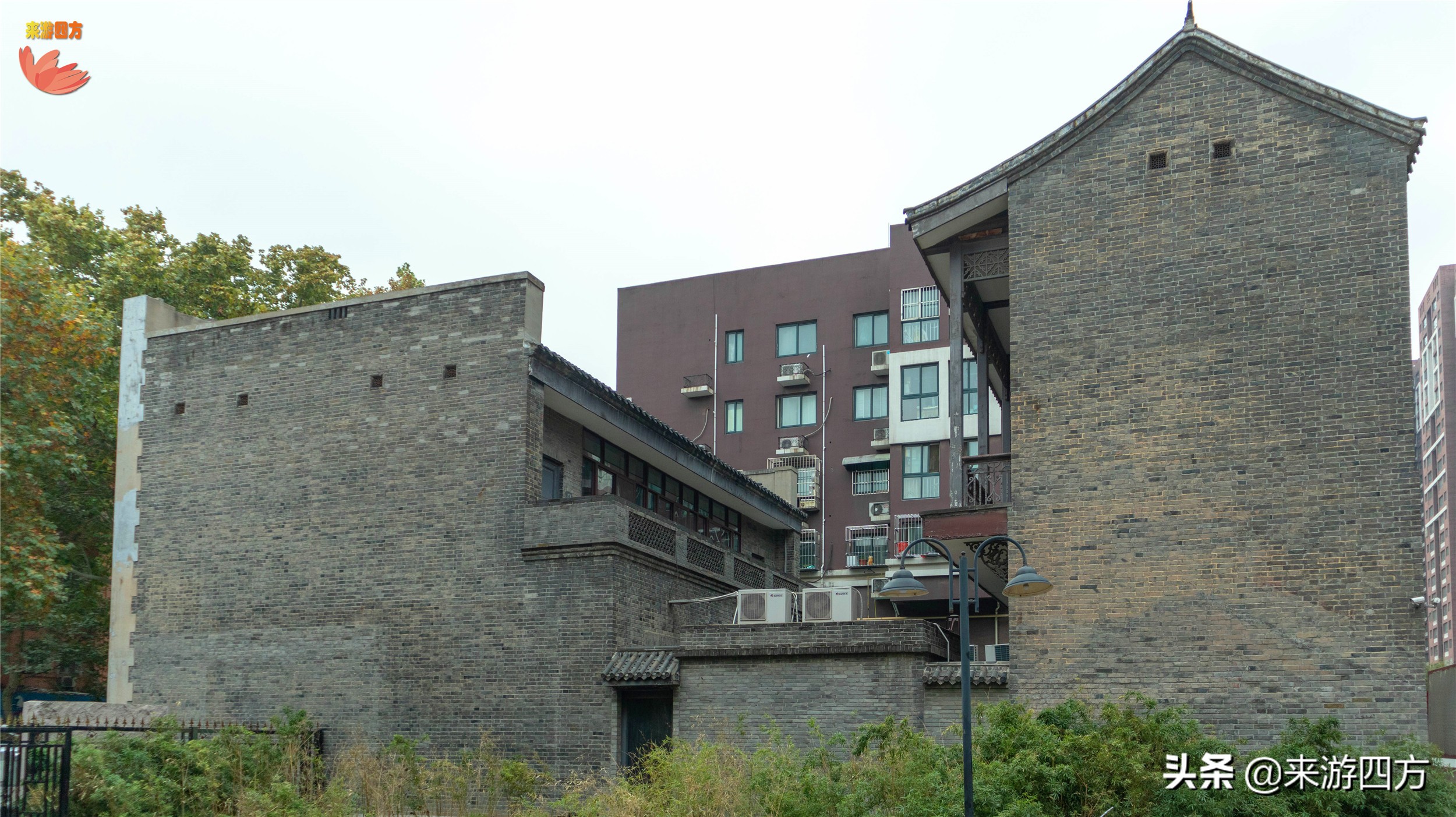 济南中山公园赏花,济南公园赏秋叶