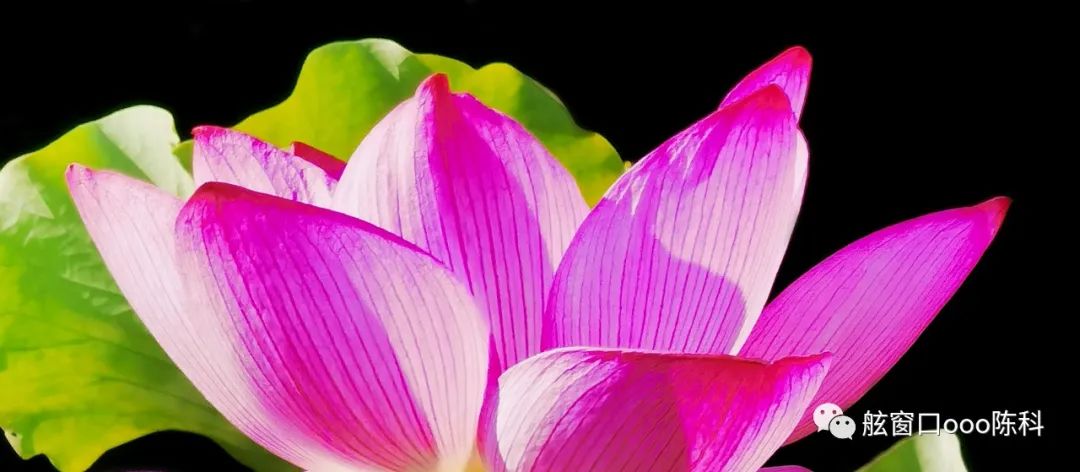 火红色的七月,火红的7月