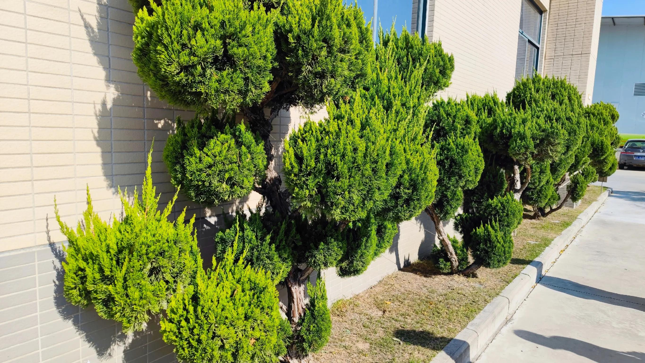 汉车友,汉文化景区游览车