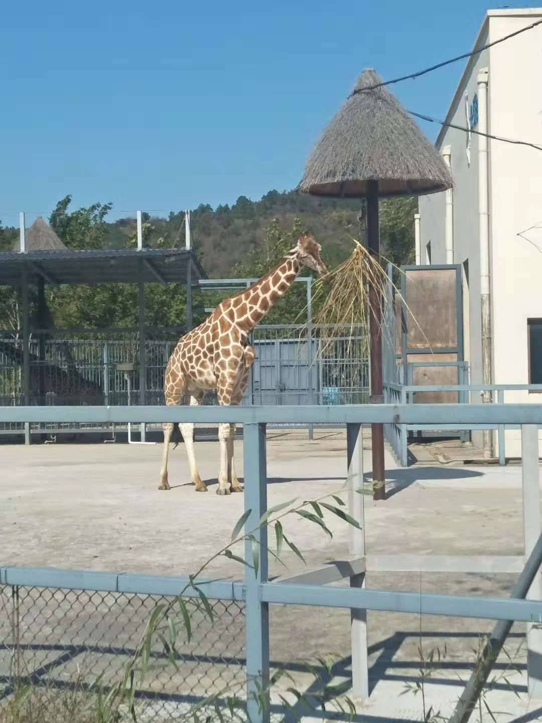 苏州上方山动物园,苏州上方山