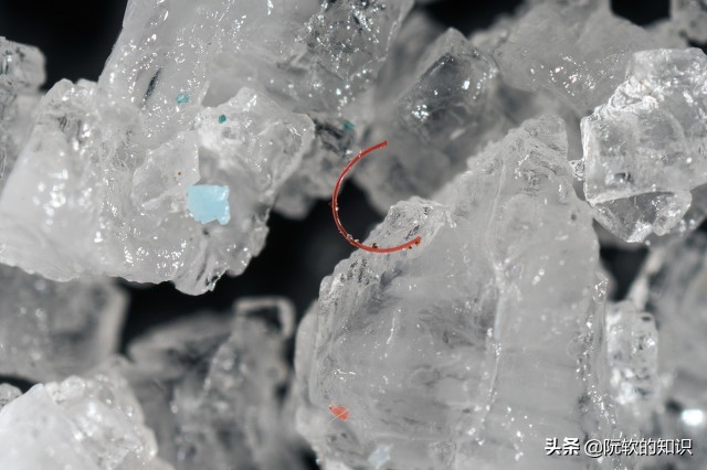 微塑料的危害视频,微塑料对人体危害最新研究