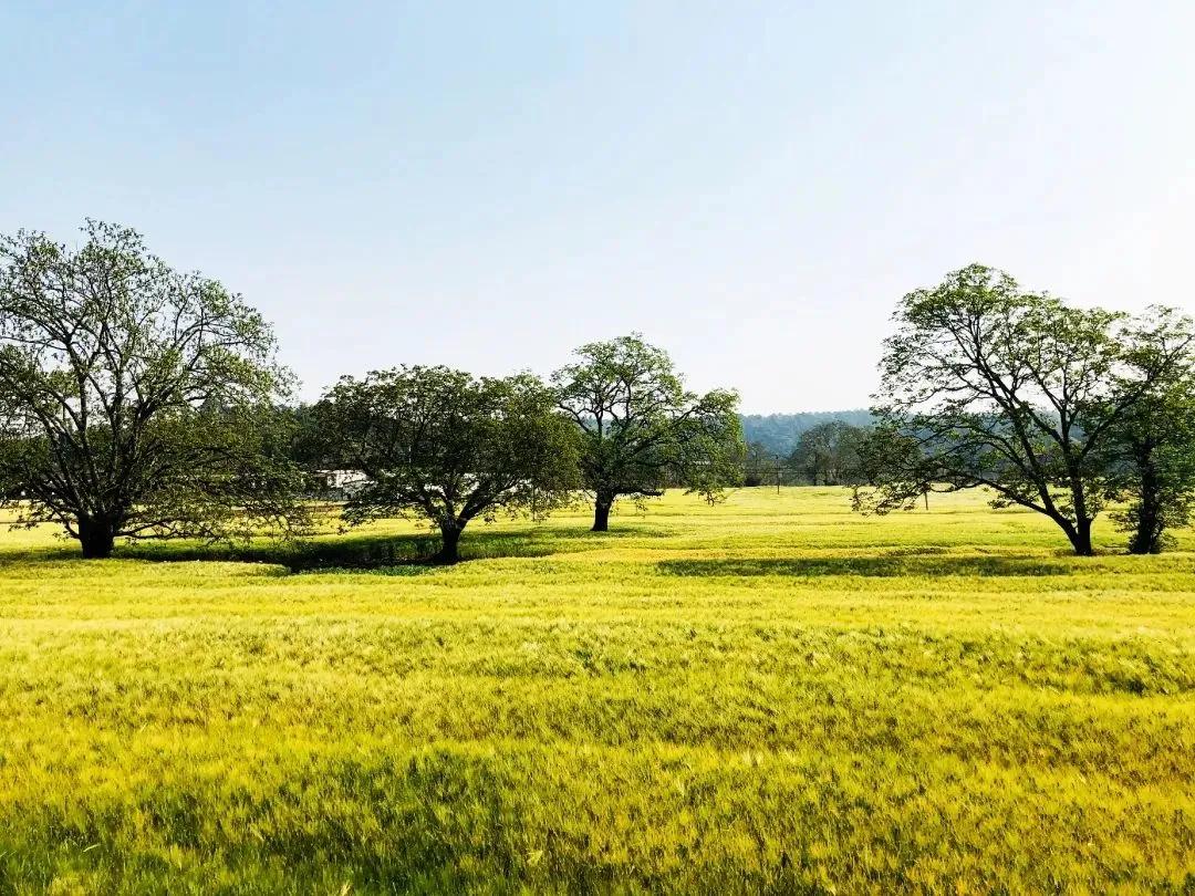 什么是弥勒教,什么是弥勒尊佛