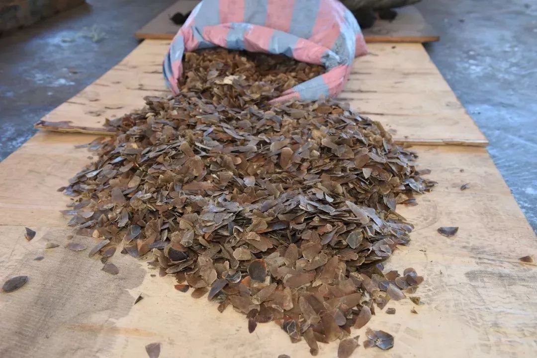 没有买卖就没有伤害的出处,没有买卖就没有伤害动物