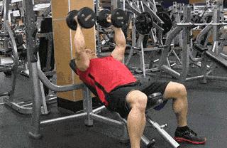 瘦子增肌怎么练肌肉最快最有效,瘦子长不了脂肪可以靠增肌增重吗