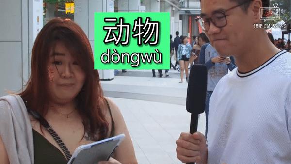 新加坡人的中文说得怎么样,新加坡人的真实华语水平